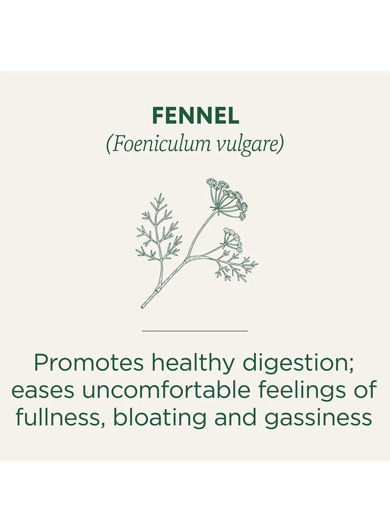 Traditional Medicinals Organic Fennel, Relieves Gas and Bloating, Caffeine Free, 16 Tea bags - Image 2